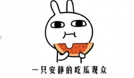 吃瓜是什么意思